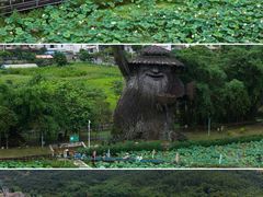 -红山村