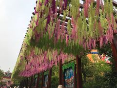 -芜湖方特东方神画