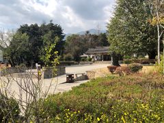 -蝴蝶泉公园
