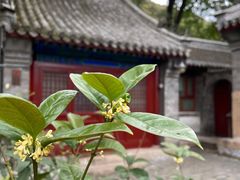 -云峰山自然风景区