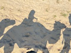 -库伦旗银沙湾旅游景区