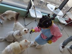 -怪兽屋·羊驼·猫咖·狗咖(俊华广场店)