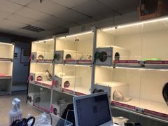 -lincat·猫舍(广州店)