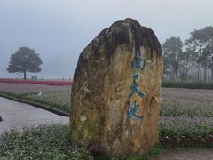 -广州市石门国家森林公园