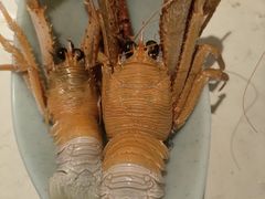 -海玥荟海鲜姿造自助餐厅(欧罗巴广场店)