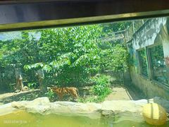 -成都动物园
