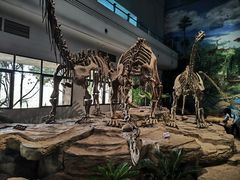 -自贡恐龙博物馆