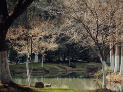 -新洲生态园