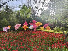 -迎泽公园