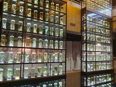 -广东中医药博物馆