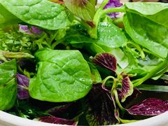 -黔府豆米火锅野菜馆(南马店)