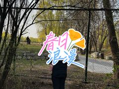 -森林公园(尖草坪区)