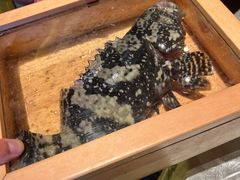 -ONE FULL 古董港式海鲜火锅