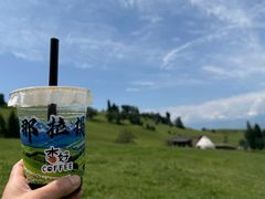 -新疆那拉提国家旅游度假区
