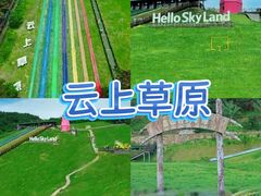 -阿露佳·舌尖上的安吉菜