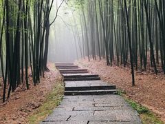 -西湖风景区十里琅珰-五云山