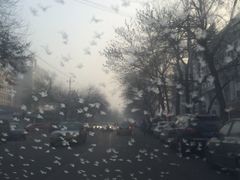 -天幕新彩云国际影城(激光巨幕店)