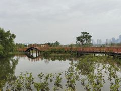 -芒洲湿地公园