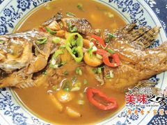 红汤桂鱼-美味之家·湖景农家乐(太湖东山店)