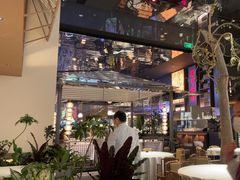 -桂满陇·海市蜃楼·黑金(国金店)