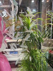 -木北护肤造型