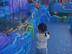 -海合安成都极地海洋公园