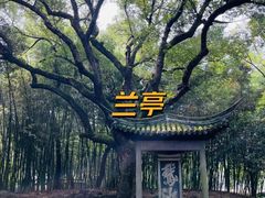 -兰亭风景区