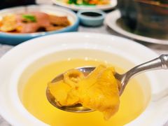 石斛老鸡炖响螺-悦秀·高级粤菜