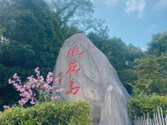 -桃花岛风景旅游区