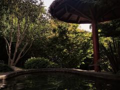 -七彩云南古滇温泉山庄