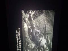 -幸福蓝海国际影城(IMAX全运村中央广场店)