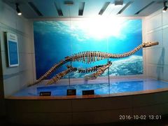 -自贡恐龙博物馆