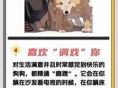-瑞鹏宠物医院犬猫全科(真大分院)