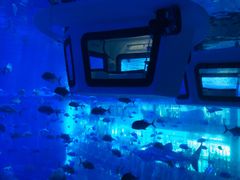 -成都浩海立方海洋公园