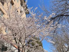 -北京邮电大学