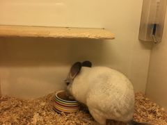 -龙猫仔乐园(惠福东路店)