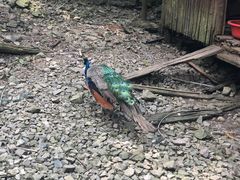 -藏龙百瀑漂流