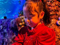 -沈阳海洋探索中心