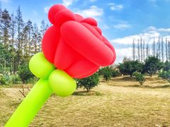 景点-上海长兴岛郊野公园