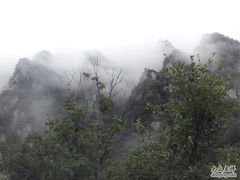 -王顺山国家森林公园