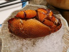 -亚马逊蒸汽活海鲜自助(LCM置汇旭辉广场店)
