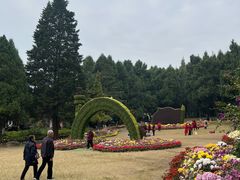 -富乐山