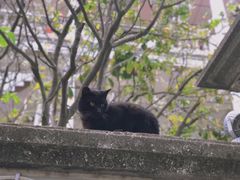 -鼓浪屿