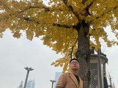 -百林公园-两江幸福广场