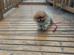 -星巴克(北京南站第二店)