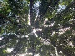 -山王坪喀斯特国家生态公园