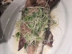 -海港酒家(翔龙湾广场店)