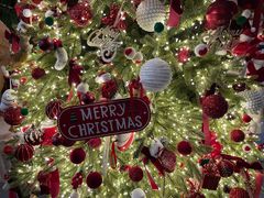 -深圳湾万象城(南山店)