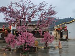 -婺源梦里老家大型山水实景演出