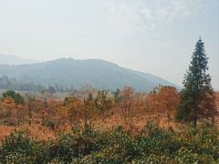 -塔川景区
